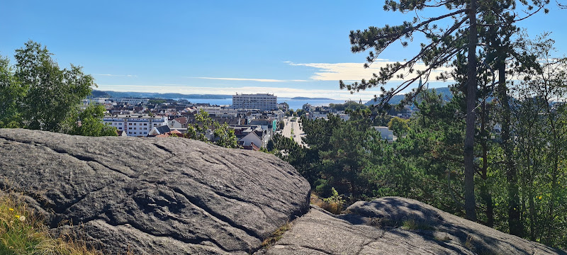 Bilde fra LANDSKAPSENTREPRENØRENE AS i Kristiansand s