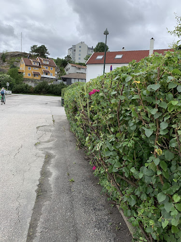 Bilde fra HEKK OG HAGE AS i Kristiansand s