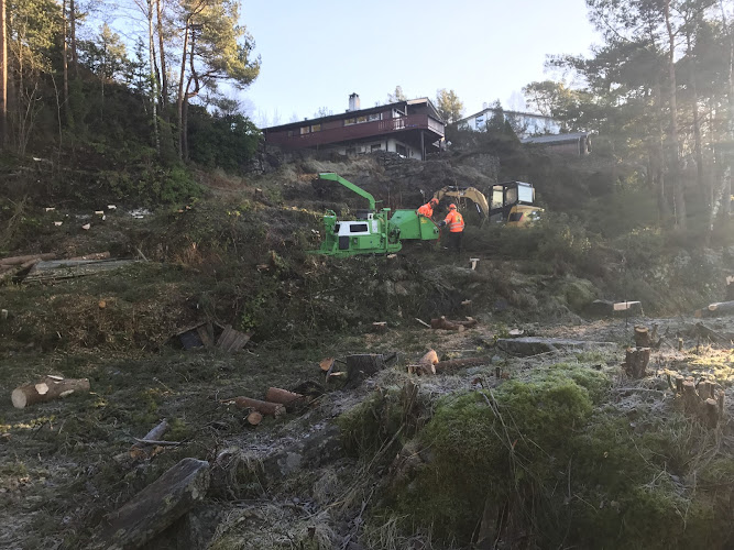Bilde fra EIDE SKOG OG HAGE i Glesvær